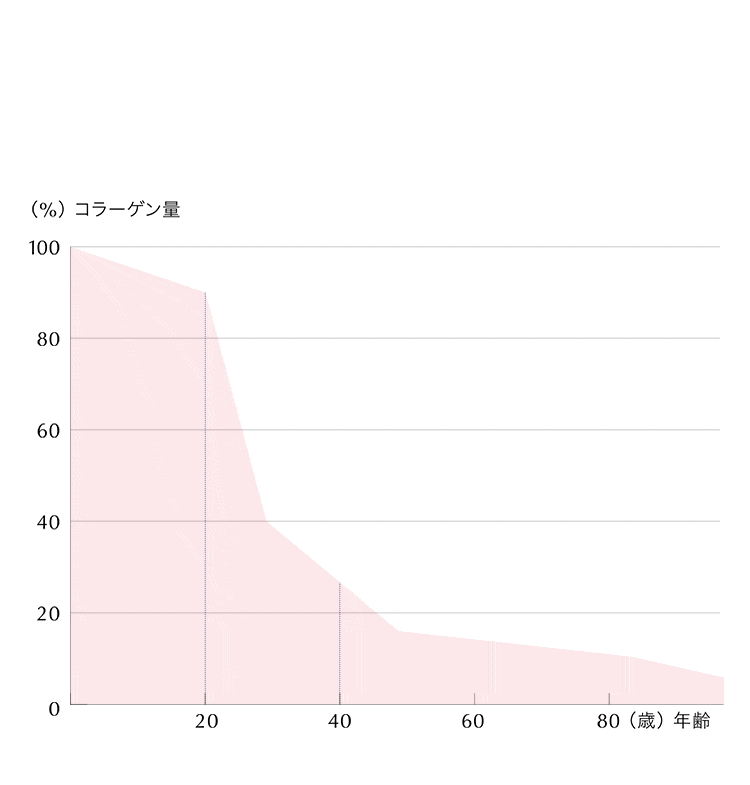 年齢サインの原因は、コラーゲンの減少によるもの 20代から減少し、40代で半分に！