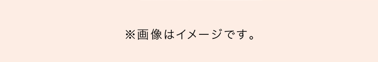 画像はイメージです。