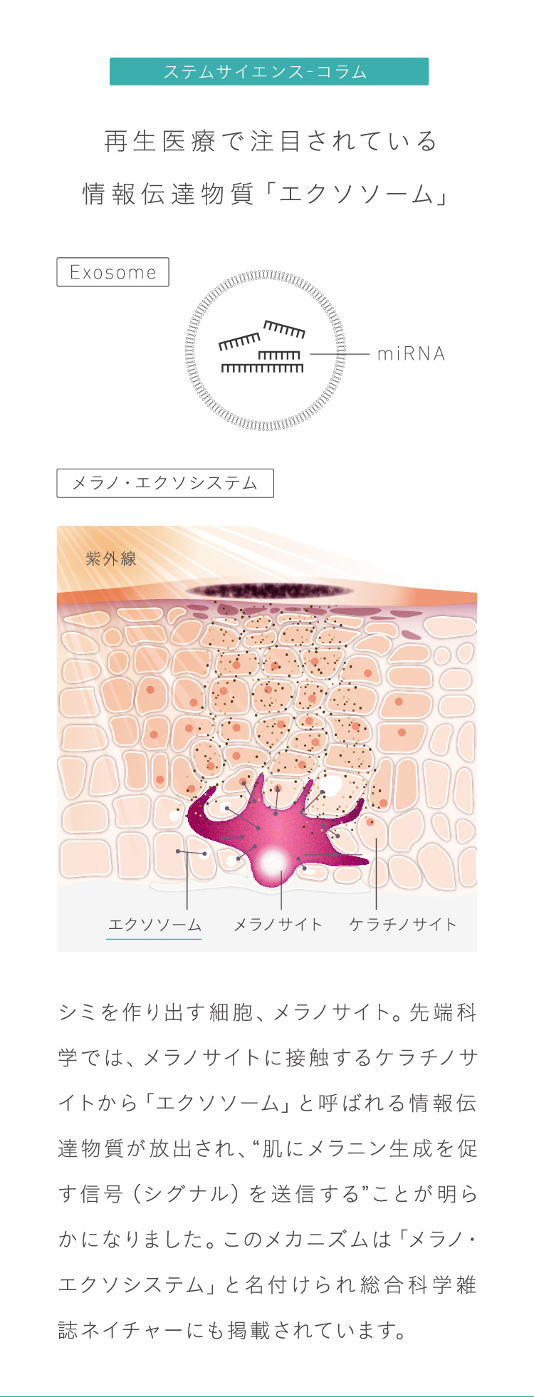 エンリッチクリーム スペシャルページ│シグナリフト 公式サイト エンリッチクリーム スペシャルページ│シグナリフト 公式サイト