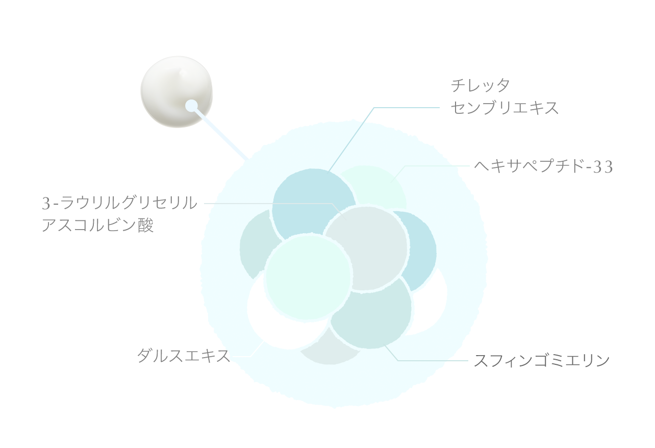 シグナリフト◯エンリッチクリーム2点