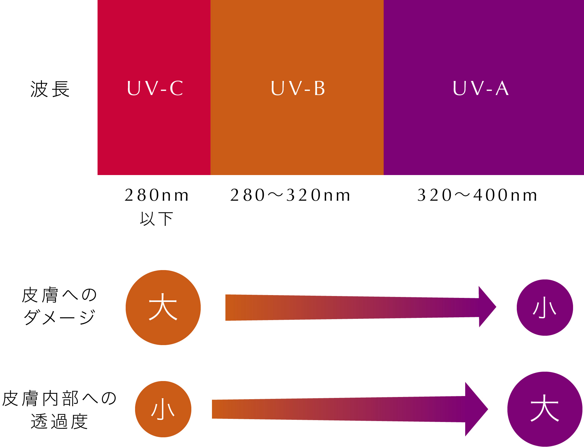紫外線波長の説明画像